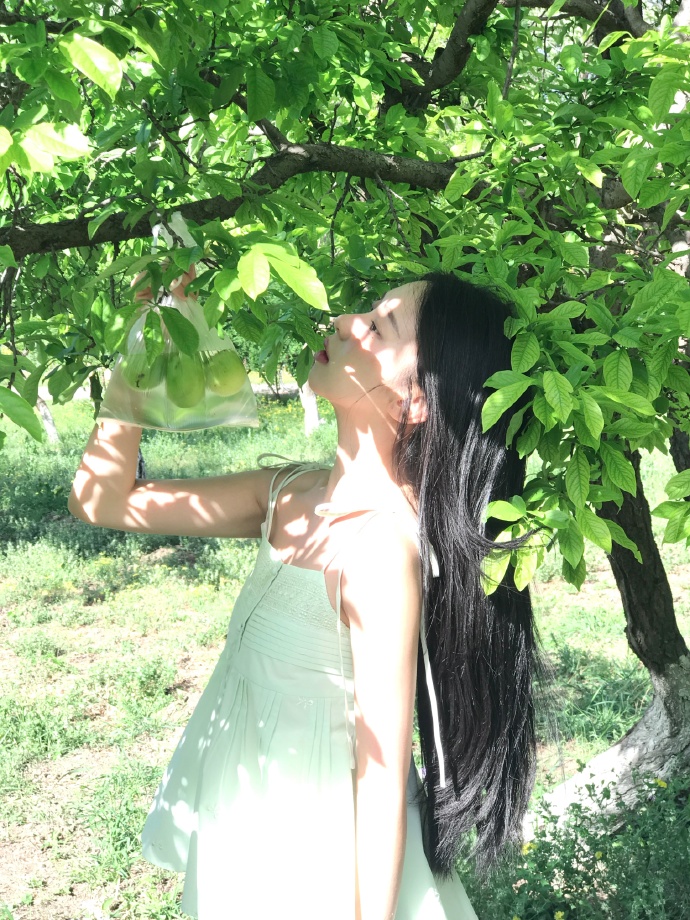长安三万里