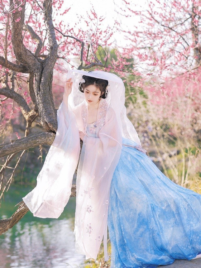 风骚律师
